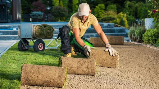 Landscaper installing fresh sod in a residential yard